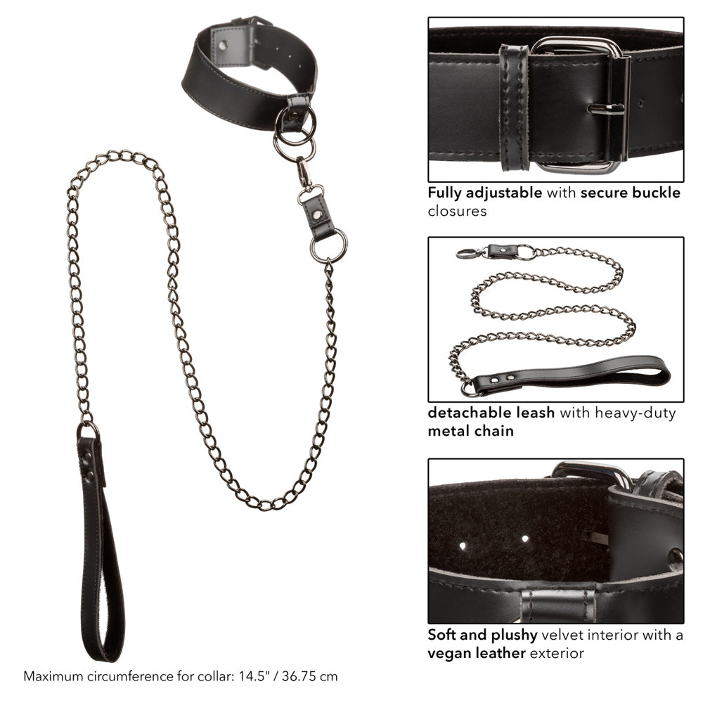 Euphoria Collar & Leash