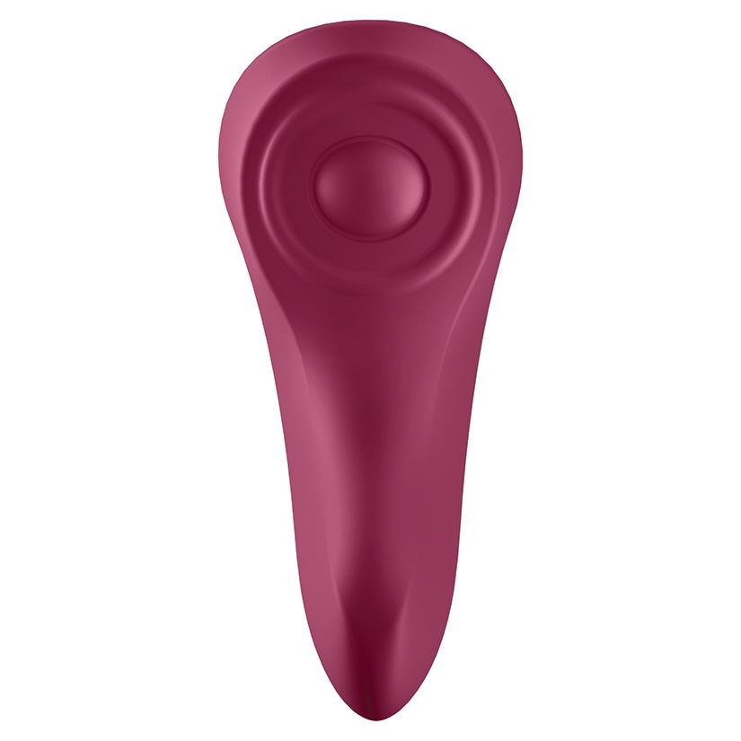 Satisfyer Sexy Secret Panty Vibe